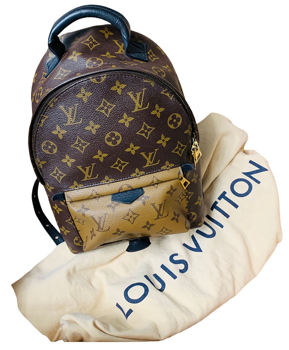 Thumbnail: Louis Vuitton Palm Springs Brown Leather Backpack