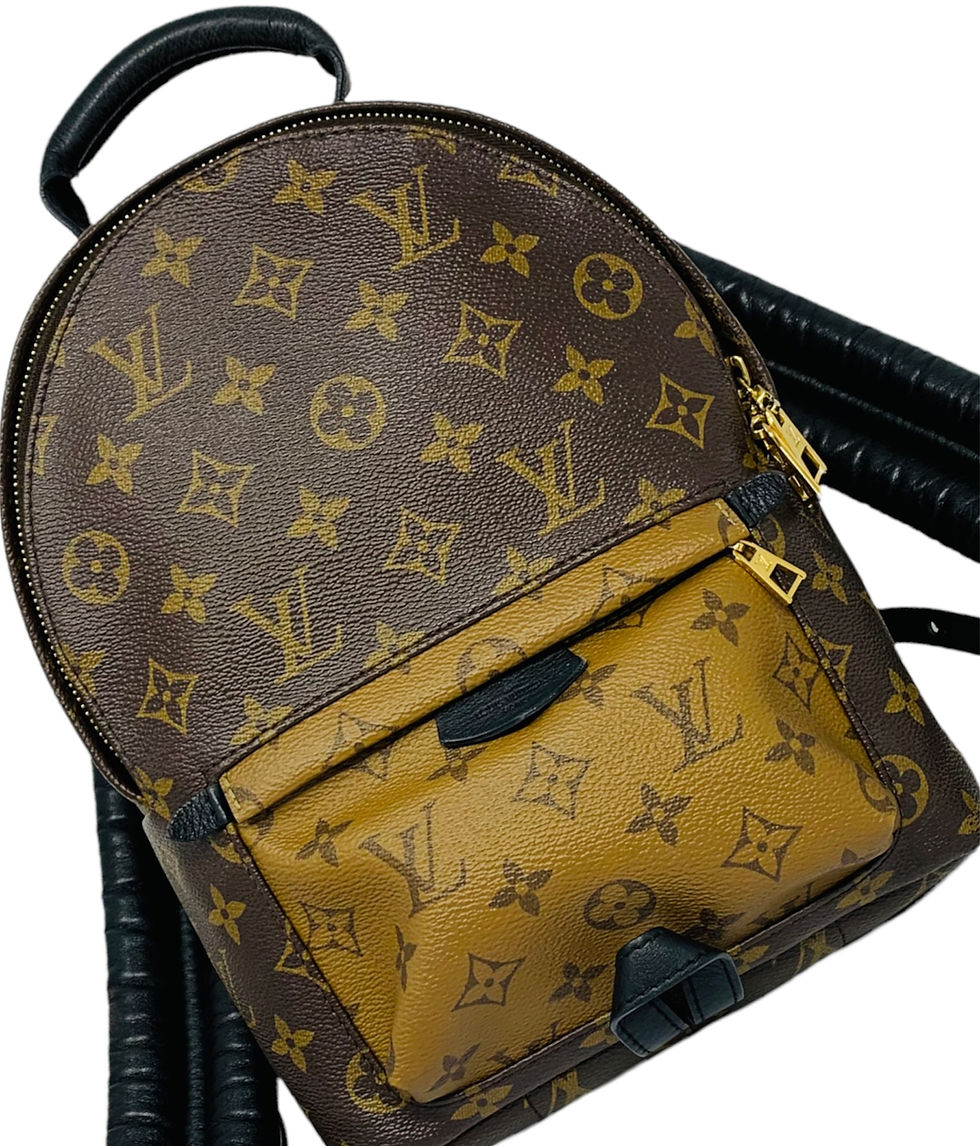 Thumbnail: Louis Vuitton Palm Springs Brown Leather Backpack