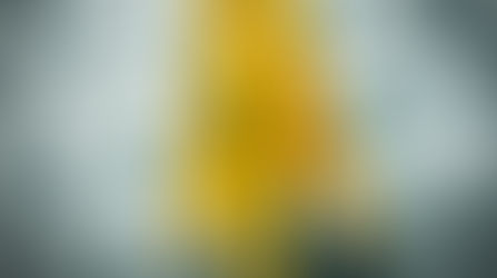 Safety First: Staying Aware and Supported This Winter