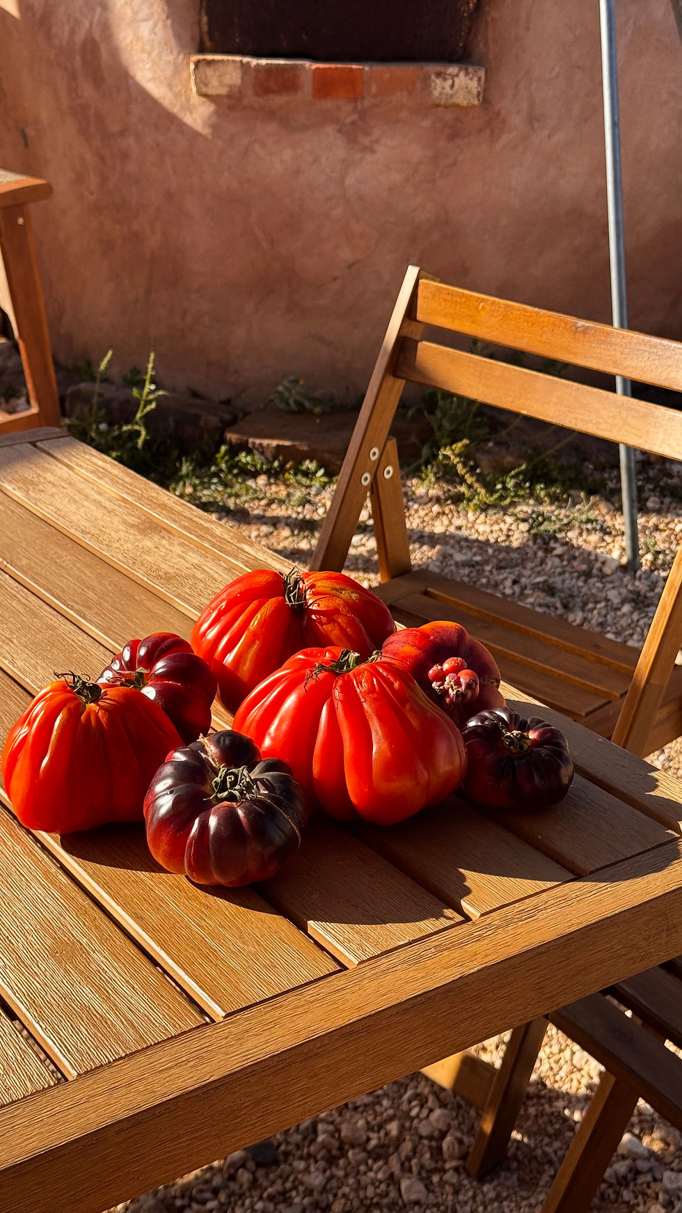 Tomato Harvest Dinner