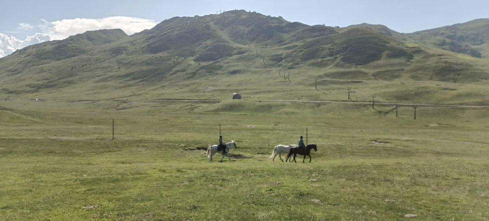 WhatsApp Image 2025-06-29 at 19.52.45