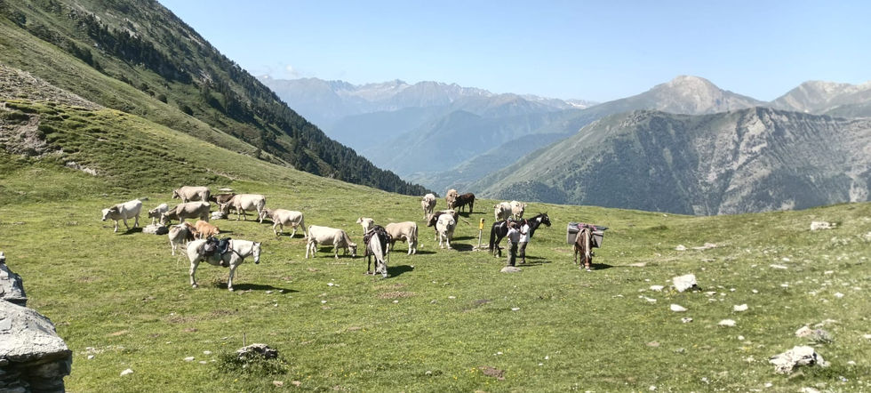 WhatsApp Image 2025-06-29 at 19.52.45(2)