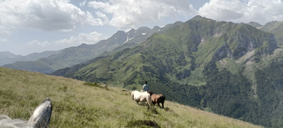 WhatsApp Image 2025-06-29 at 19.52.38