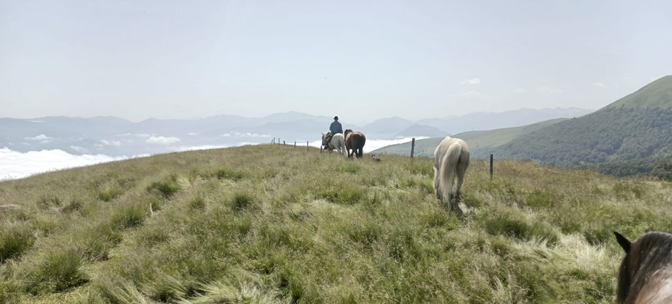 WhatsApp Image 2025-06-29 at 19.52.39