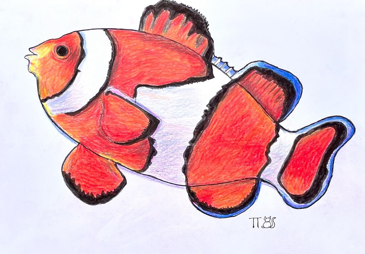 Poisson Clown