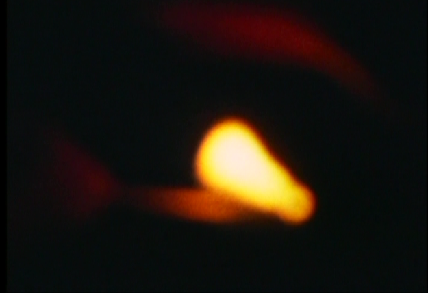 into the wild shot 2.png