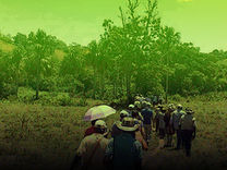 Tierras para comunidades negras, indígenas y campesinas en el Cauca