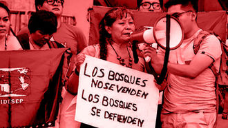 Diferentes organizaciones sociales y comunidades indígenas en Perú se manifiestan en contra de la modificación a la Ley Forestal de Fauna Silvestre
