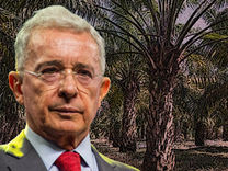 La palma africana, otra de las pestes que nos dejó Alvaro Uribe
