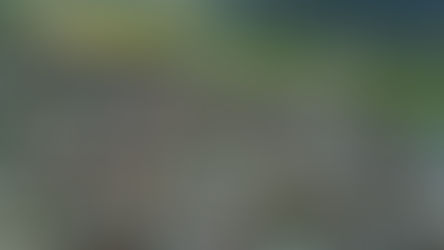 Territorios Minados: la otra cara de la guerra que se intensifica en Antioquia.