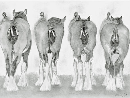 The Rear End of Wild Life Collection