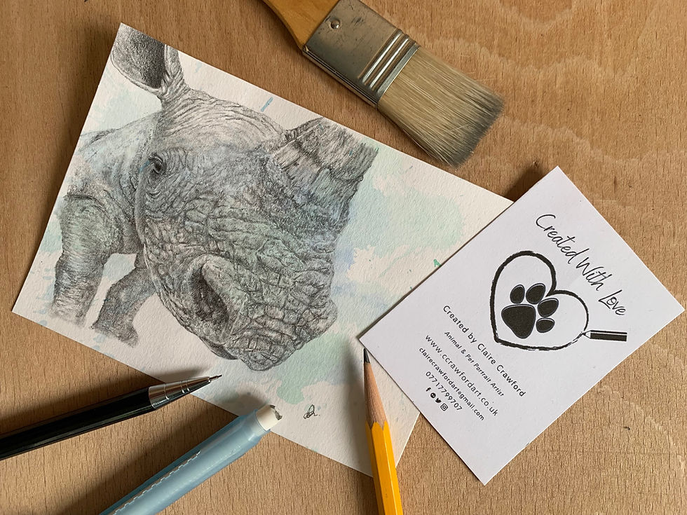 Thumbnail: Rhi-nose original pencil drawing 