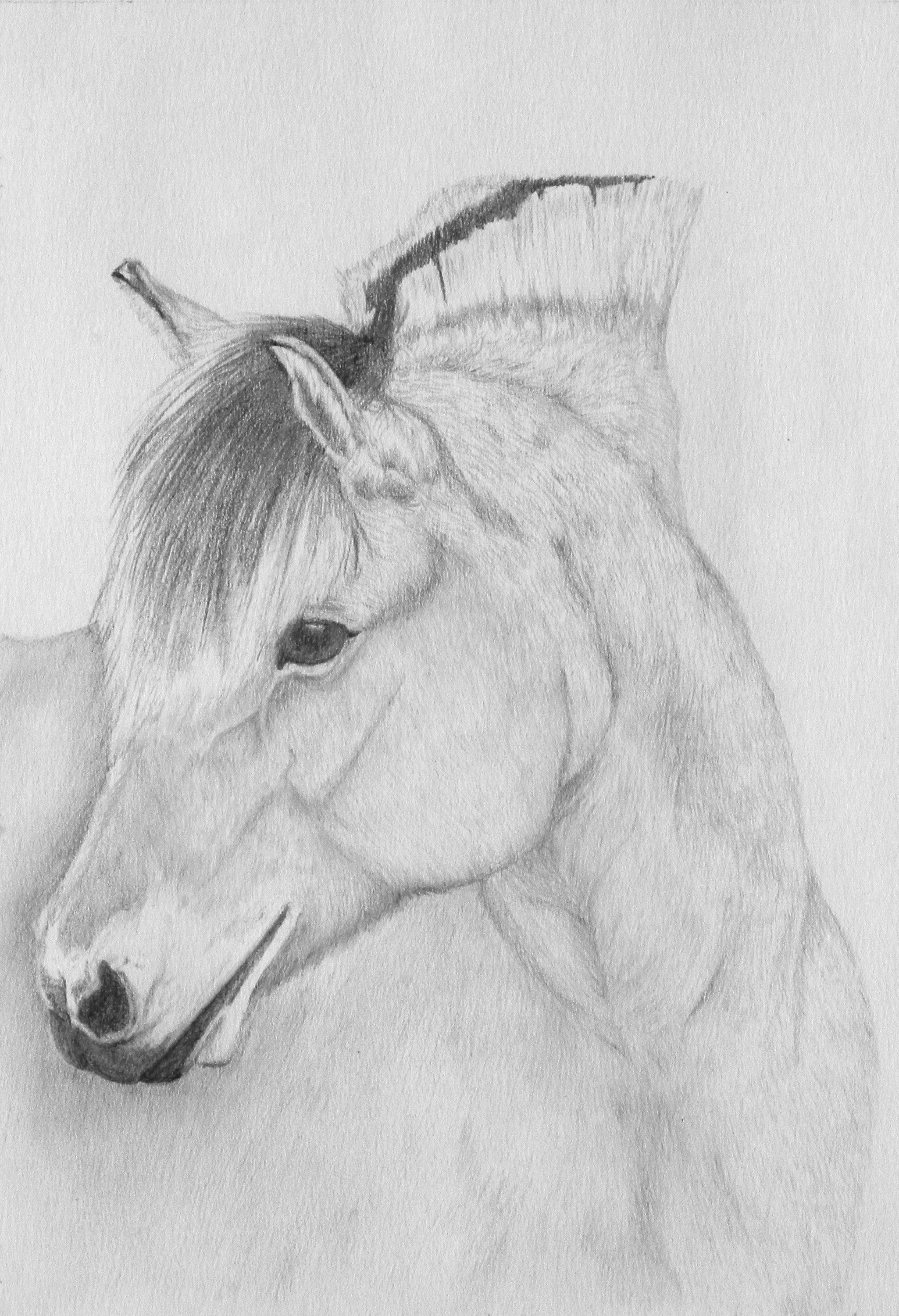 Original graphite pencil drawing 'Skjønnhet'