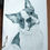 Thumbnail: Boston Terrier Prints