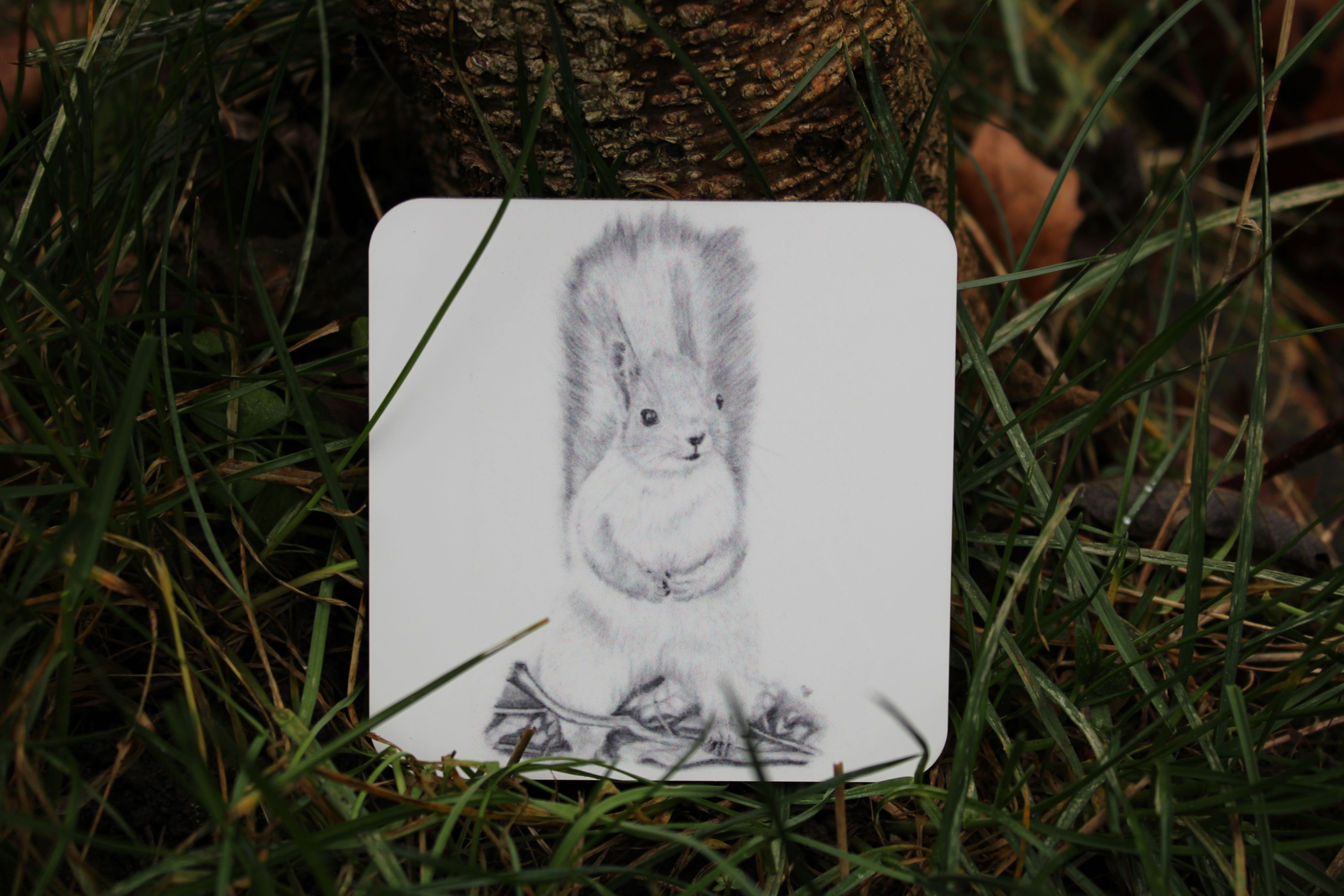 Squirrel coaster