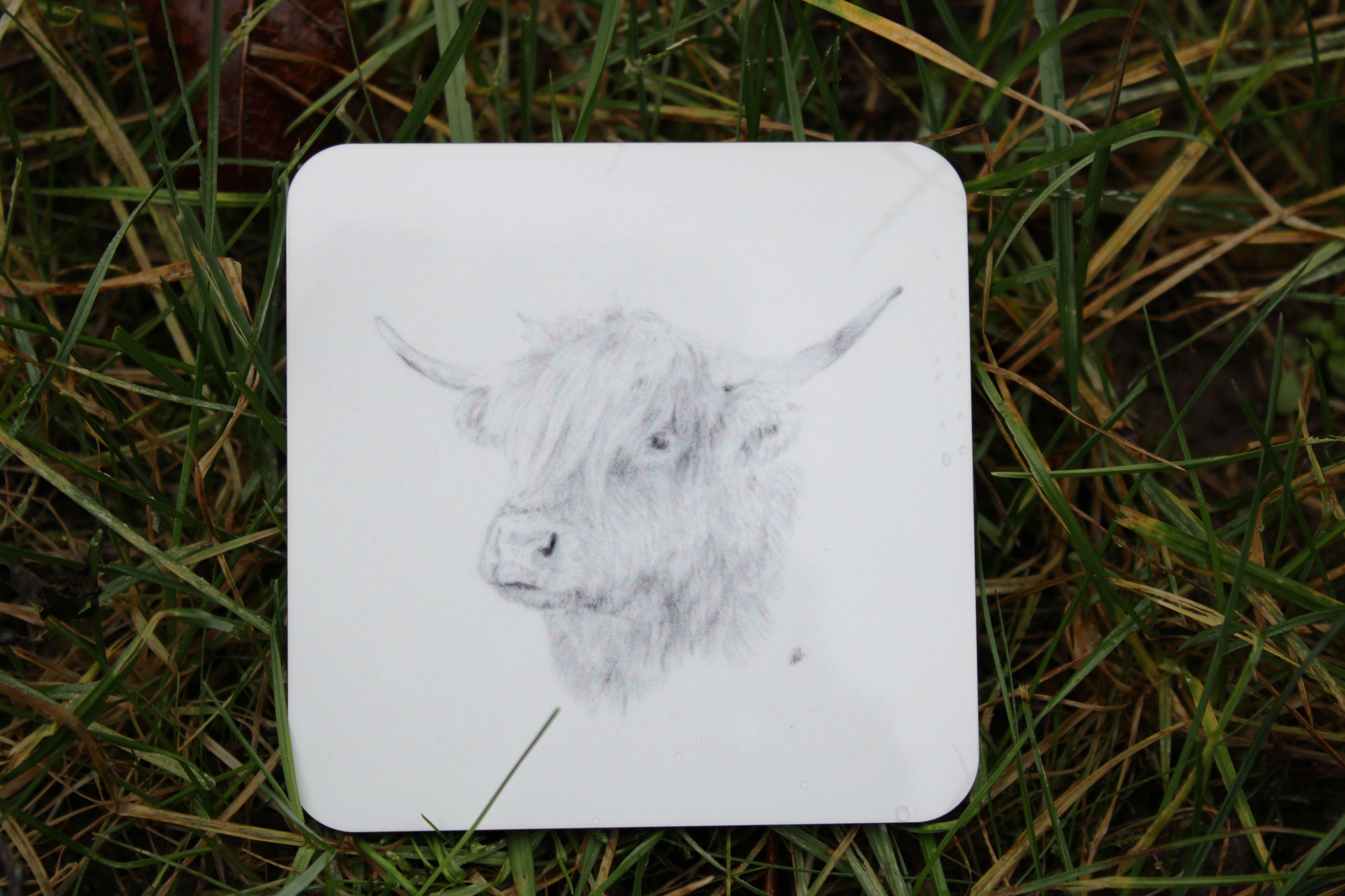 Highland Cow Coasters