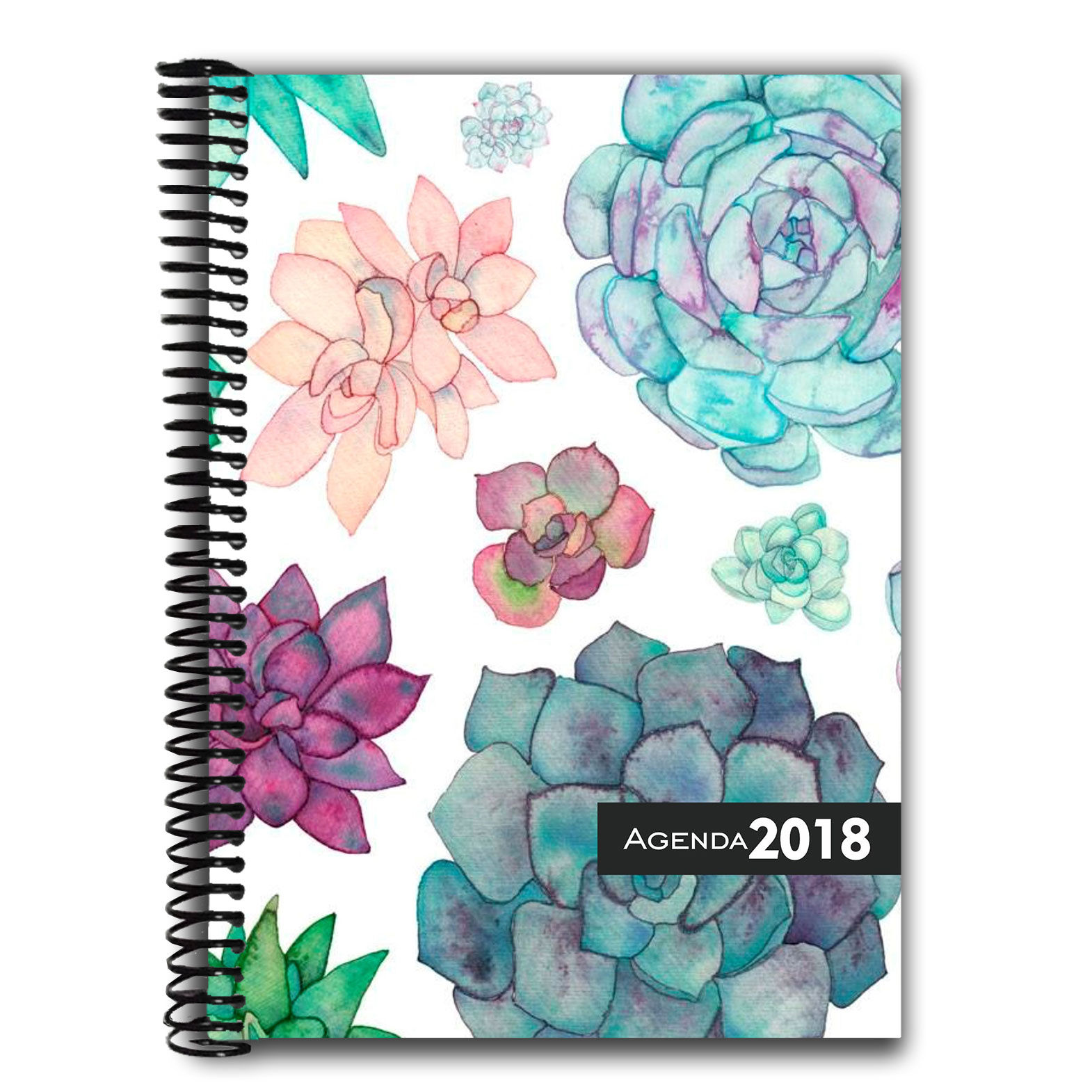 Agenda Colección Cactus III