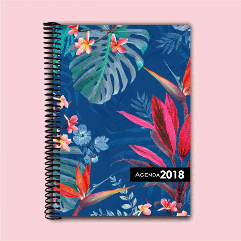 Notebooks