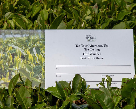 Tea Tour Voucher