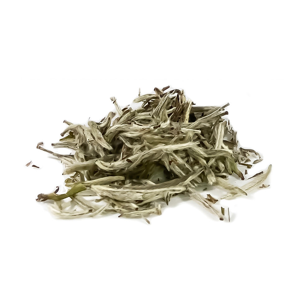 Thumbnail: Silver Needle Organic White Tea