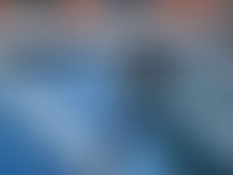 Daniel Harvie professional window cleaning service