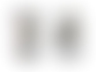 Rhinowash static pressure washers