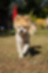 DSC07657.JPG