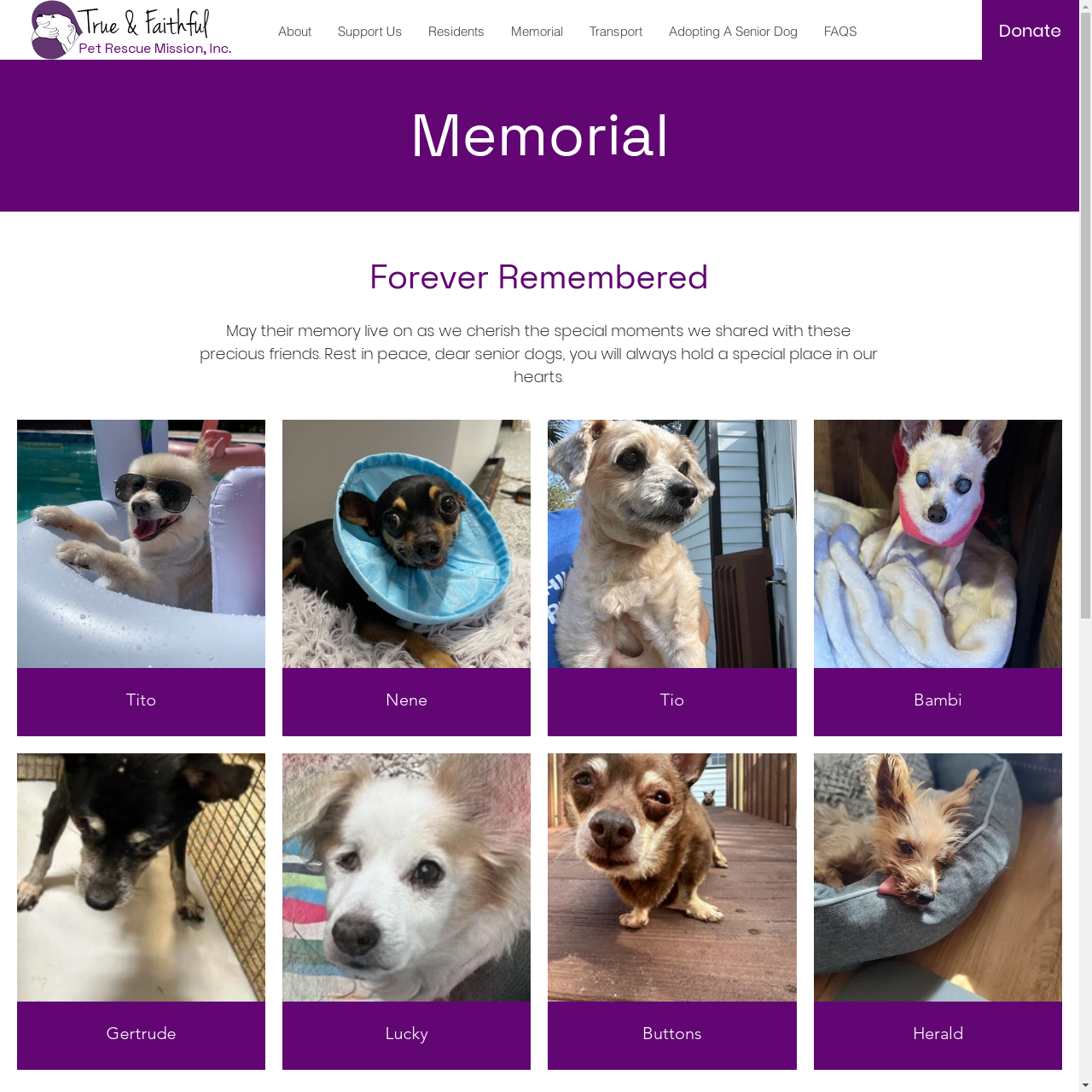 Memorial True Faithful Memorial true faithful