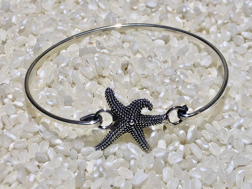 Miniature : Modèle " Sea Star "