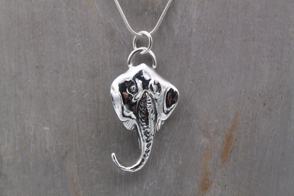 Miniature : Modèle " Ray Manta 2 "