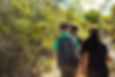 Kids hiking through brush