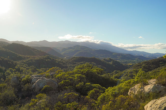 Los Padres Forest Landscape