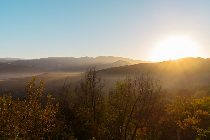 Los Padres Forest Landscape at sunrise