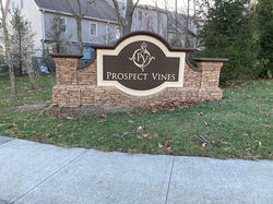 Prospect Vines