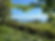IMG_5320.jpeg