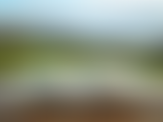 Top Gardening Books for Beginners and anyone wanting to learn new gardening skills