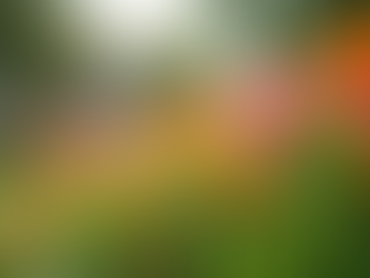 Meet 'The Garden Angel': A Garden Inspiration