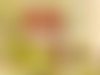 🏡 Big Changes Could Be Coming for Renters & Landlords: Here’s What You Need to Know ✨