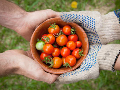 Could we ever marry Social Responsibility with Food Safety?