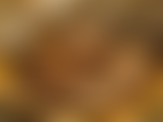 The Top 5 BBQ Restaurants in Houston, TX You Can’t Miss (From a Local Who’s Tried Them All)