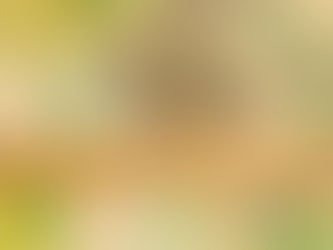 Houston’s Market Has Finally Stabilized 📈— And That’s GREAT News for You as a Buyer