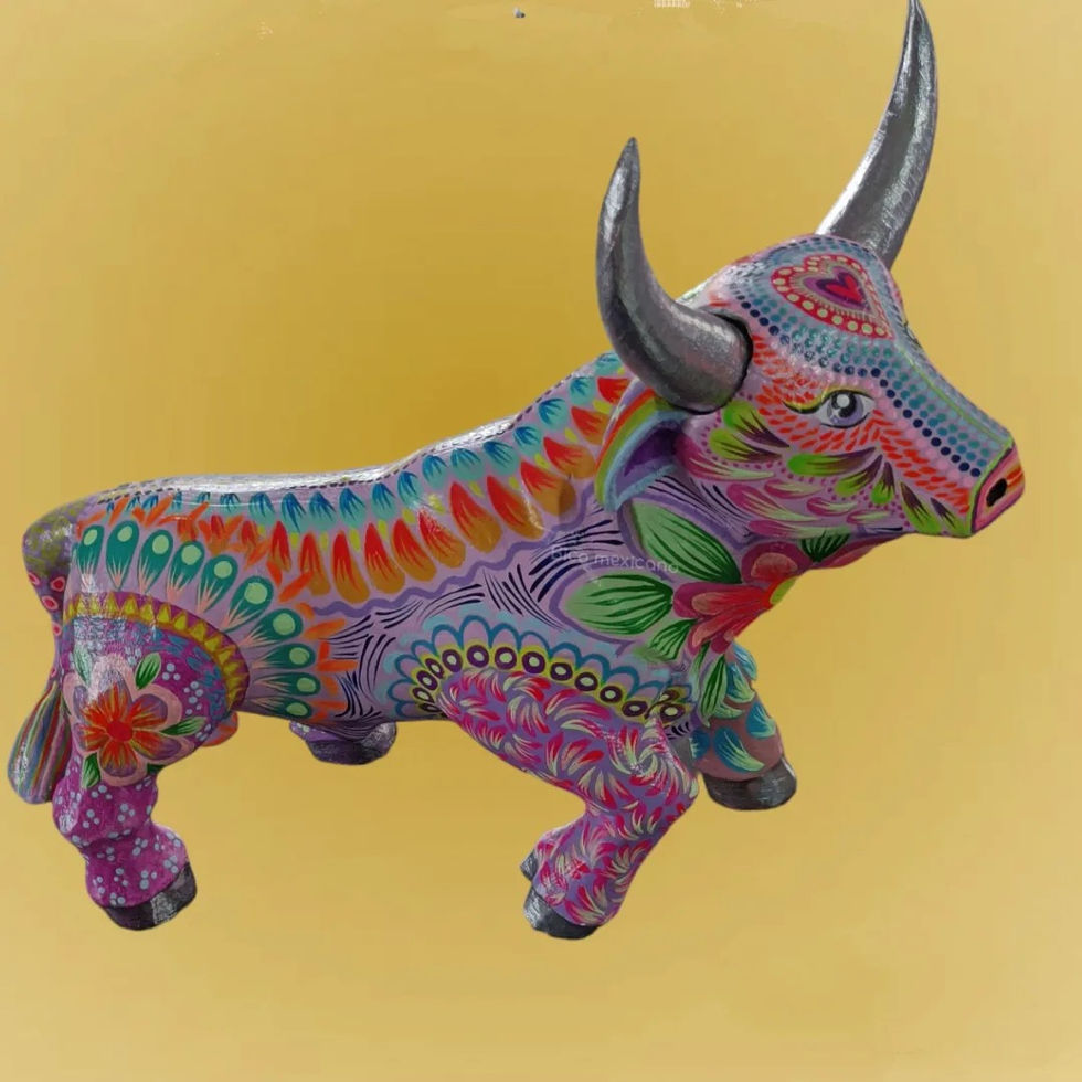 toro.jpg