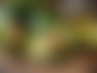 The Essential Role of Dietary Fat in a Balanced Diet