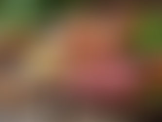 The Ultimate Guide to Understanding Protein: Importance, Sources, and Benefits