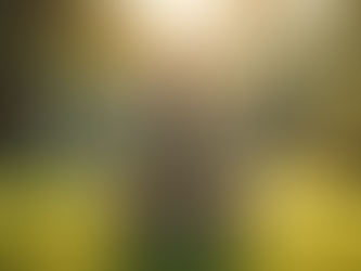 Harnessing Stress for Growth: How to Find the Right Balance for Your Health and Wellness Journey