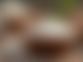 Understanding Disaccharides: Types, Functions, RDA Guidelines, and Dietary Recommendations