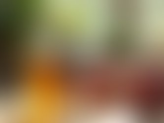 The Truth About Apple Cider Vinegar: Benefits Risks and the Science Behind Its Use