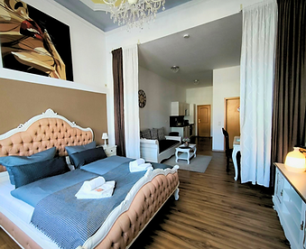 Ferienwohnung Paris, barrierefrei, mit großem Doppelbett, im hinteren Teil eine Couch mit Wohnbereich