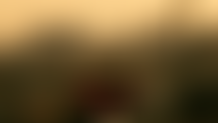 🧪 Natural Wine: ทางเลือกใหม่สำหรับผู้รักสุขภาพที่ใส่ใจสารเคมี