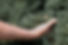 DSC_5157 CHALEUREUX.jpg